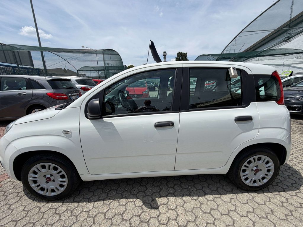 Fiat Panda  Panda III 1.2 Lounge easypower Gpl 69cv my19