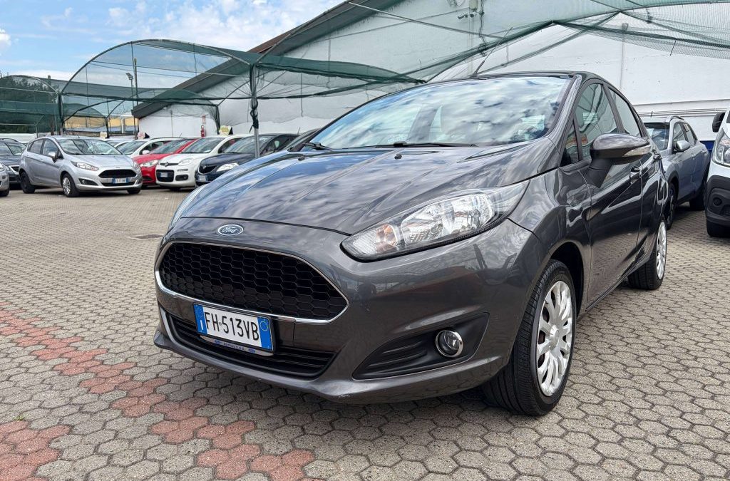 Ford Fiesta  Fiesta VI 2013 5p 1.4 Plus Gpl 95cv E6