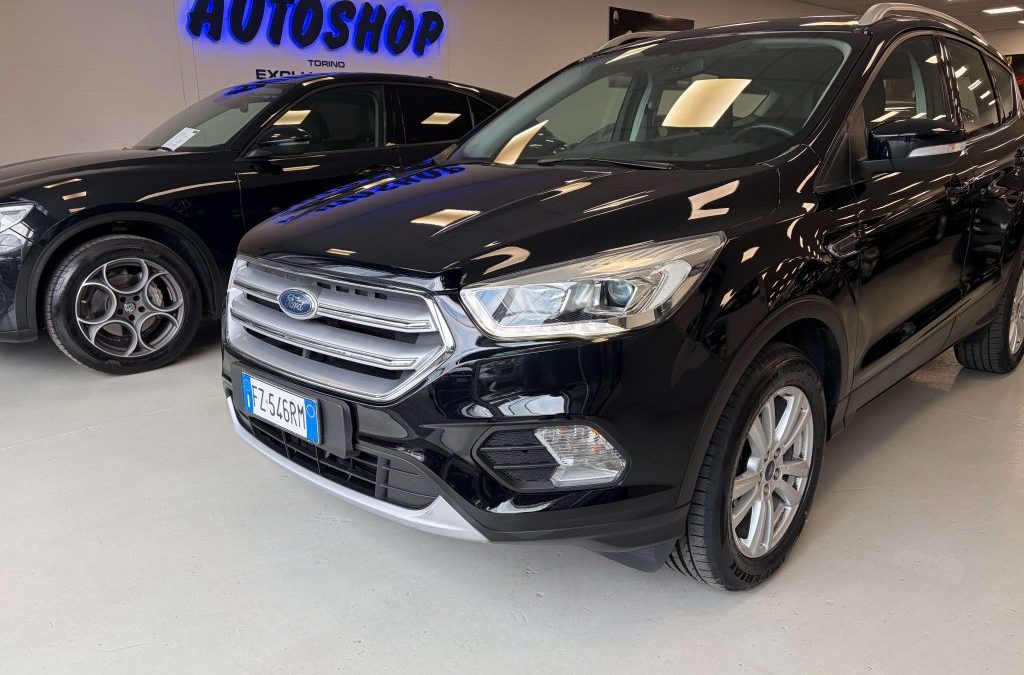 Ford Kuga Kuga II 2019 2.0 tdci Business s automatico