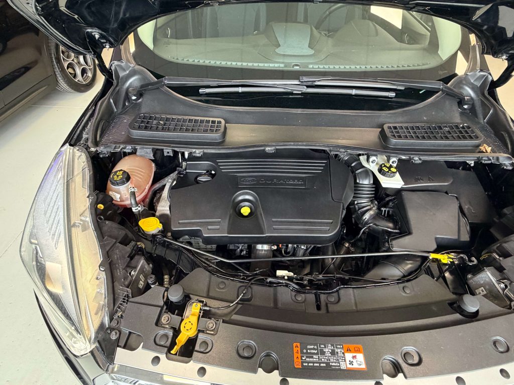 Ford Kuga  Kuga II 2019 2.0 tdci Business s automatico