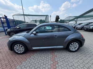 Volkswagen Maggiolino  Maggiolino 1.6 tdi Design 105cv